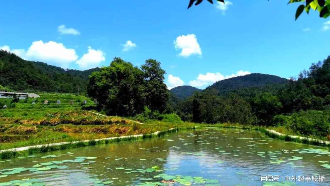 姚安娜带华为手机参加活动