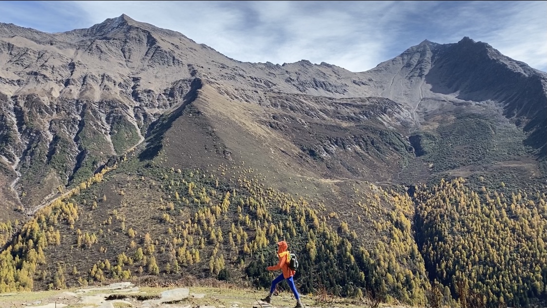 点赞网站快手最便宜